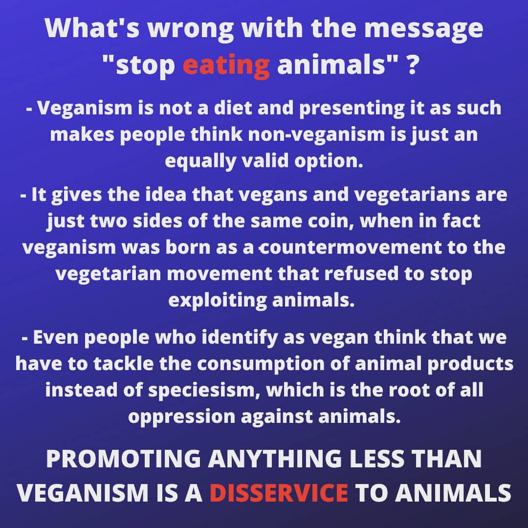 What's wrong with the message Stop eating animals?