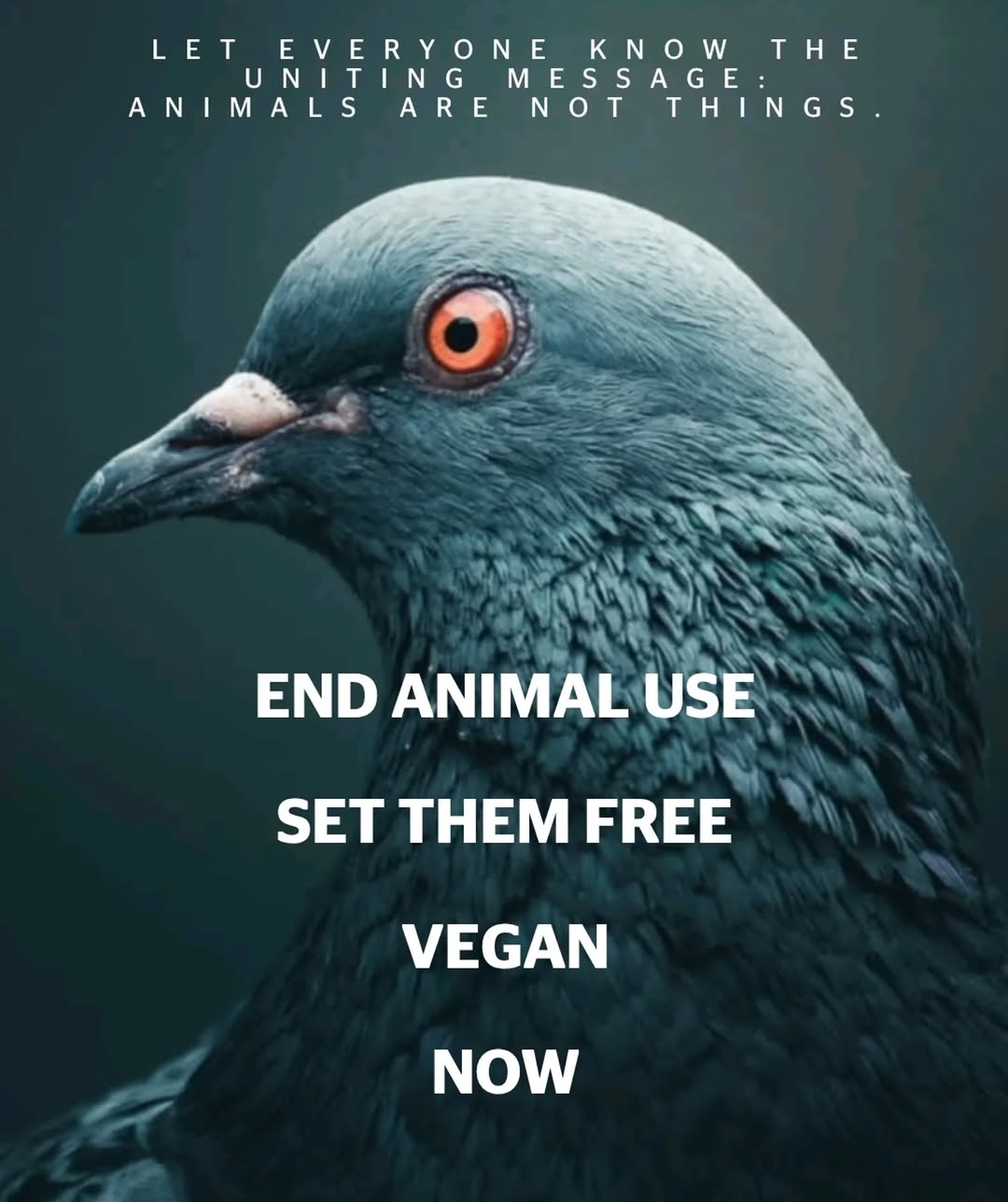 Let everyone know the uniting messaging